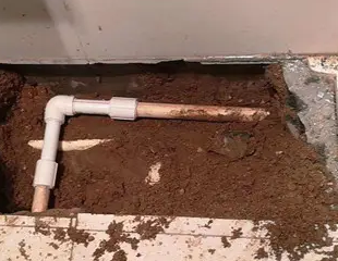 安顺测漏水哪家好