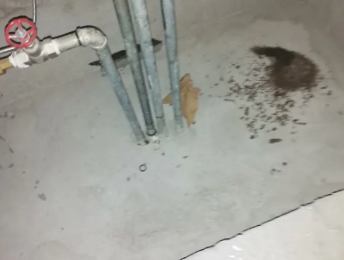 安顺卫生间测漏水价格明细